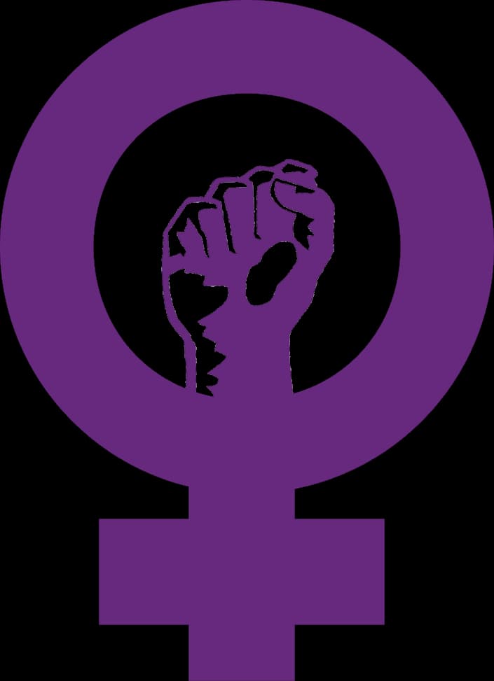 Portada del proyecto Violencia contra mujeres entre 15-24 años